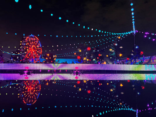 Pond at beyond socal reflecting lights and Ferris wheel